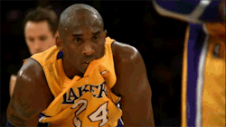 NBA Gifs