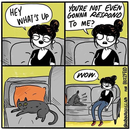 verbalvomits:This week’s Buzzfeed comic