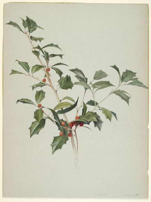 Charles Herbert Moore, Holly, c.1875 (source).