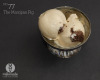 flavor of the day: The Marzipan Pig
marzipan ice cream with chocolate truffle
Happy New Year everyone! Dunno about y'all, but we have big goals for 2013. So we’re looking for all the luck we can get. To start it off, we partook in just about every...