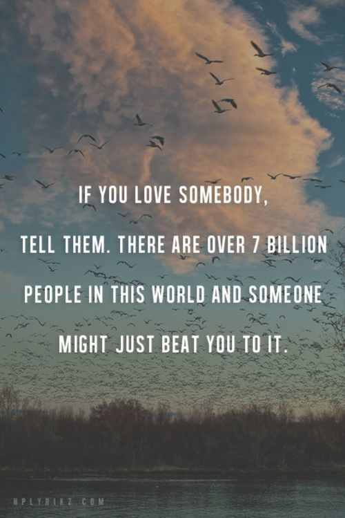 silly-luv:  ♡ find your best posts on my blog ♡