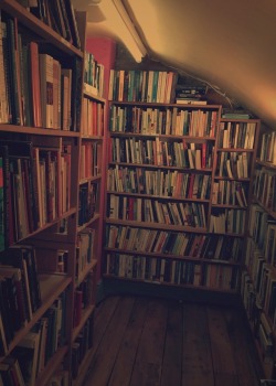 Opaque-Flames:  I Was In The Most Beautiful Little Book Store The Other Day, So Querky,