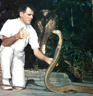 i-was-today-years-old-when:  i learned that Bill Haast began extracting snake venom