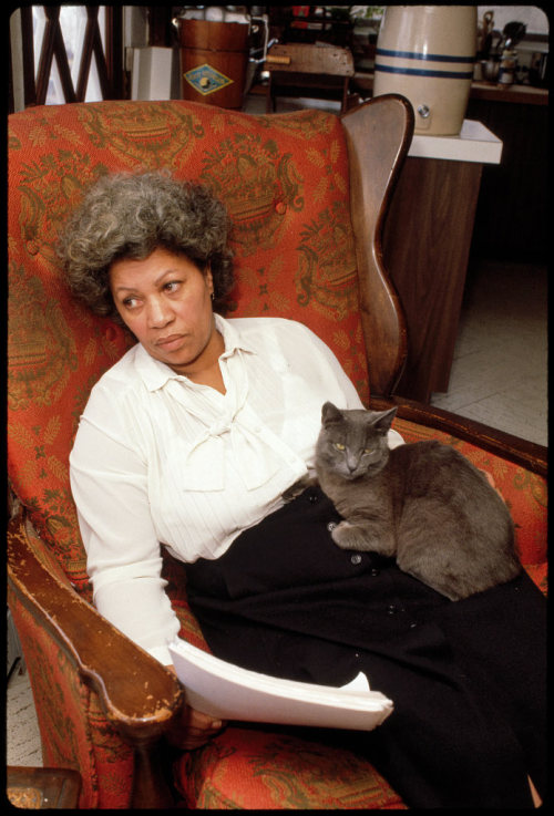 felinepurrrstory:  Toni Morrison at home