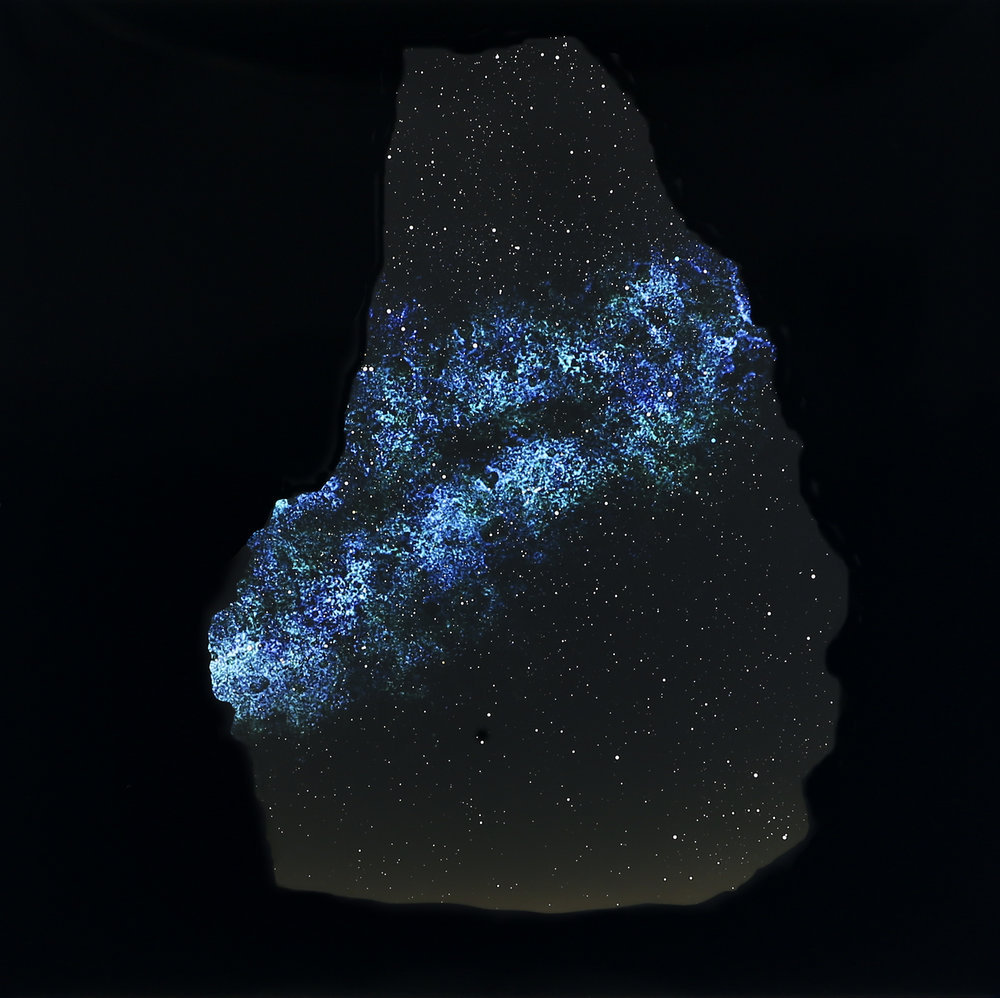 nevver:  Maps to the Stars, Vanessa Marsh