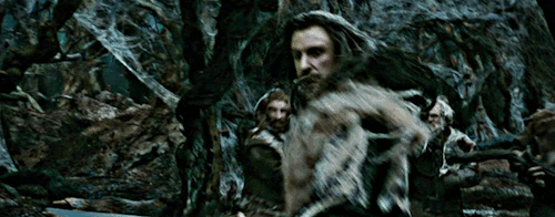 riepu10:Mirkwood