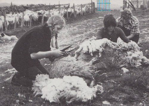 kymenymo:Traditional Knitting in the British Isles, 1981Channel Island, Child’s Lerwick, Flamborough