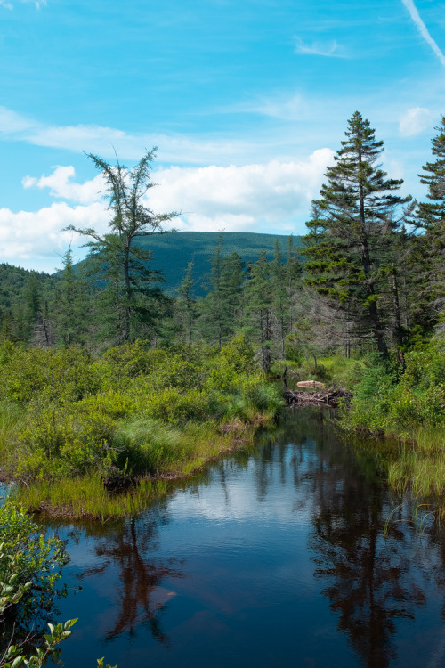 ariweinklephotography:Outcrop.