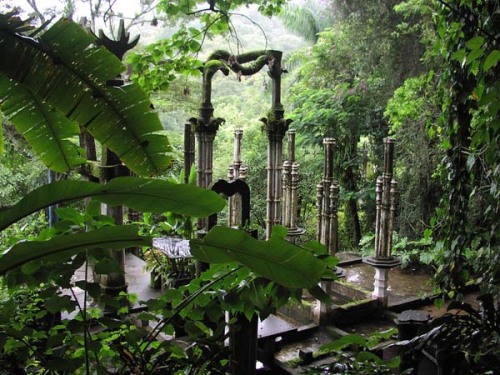 wilwheaton: beneath-the-lime-tree: shinypixiedust: Deep within the rainforests of Mexico, seven hour