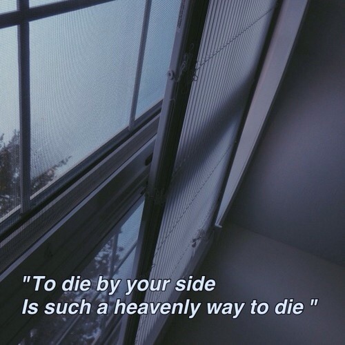 violet–suicide:  euphoria ♛