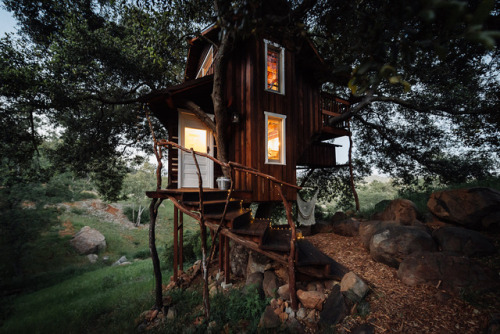 cabinporn:  Treehouse in Escondido, California  Submitted by Natasha Sadikin / @natapot  @delectably