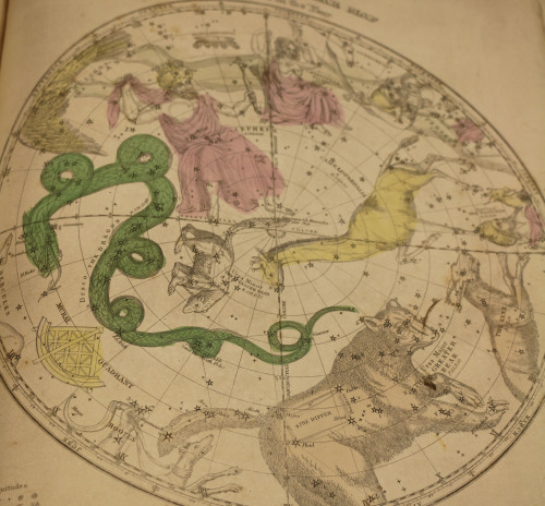 uispeccoll: Astronomy buffs rejoice! This beautiful celestial atlas is a supplementary text to 