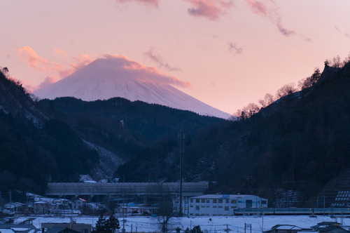 初狩 富士山　115系 by tenugui on Flickr.