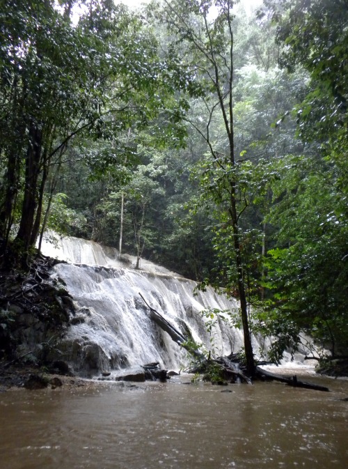 trailpace:  Turure Falls