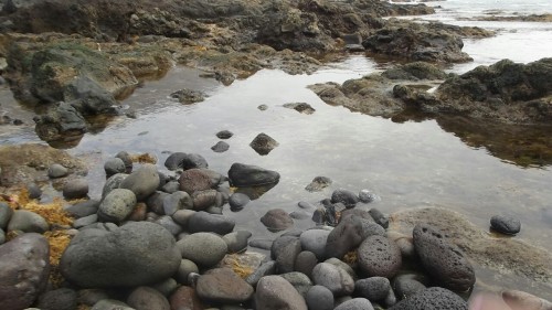 Heart-shapped Nature and tiny monsters on the stones.