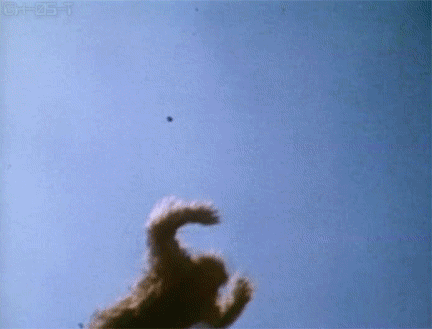 berkeleyplace:PICTURE OF THE DAY: Bigfoot EditionView Post