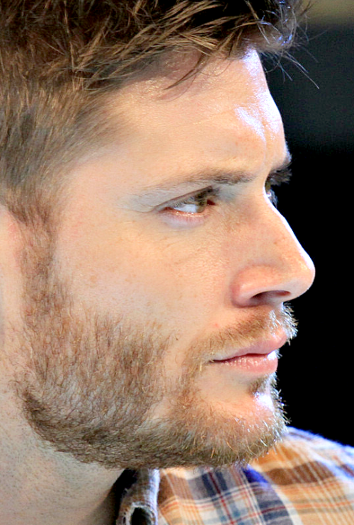 deanjackles: Jensen Ackles | JIBCon 2013 (x)