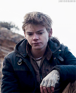 Get To Know Me: Favorite Male Characters (11/50) ↳ Newt (The Maze Runner || The Scorch Trials)