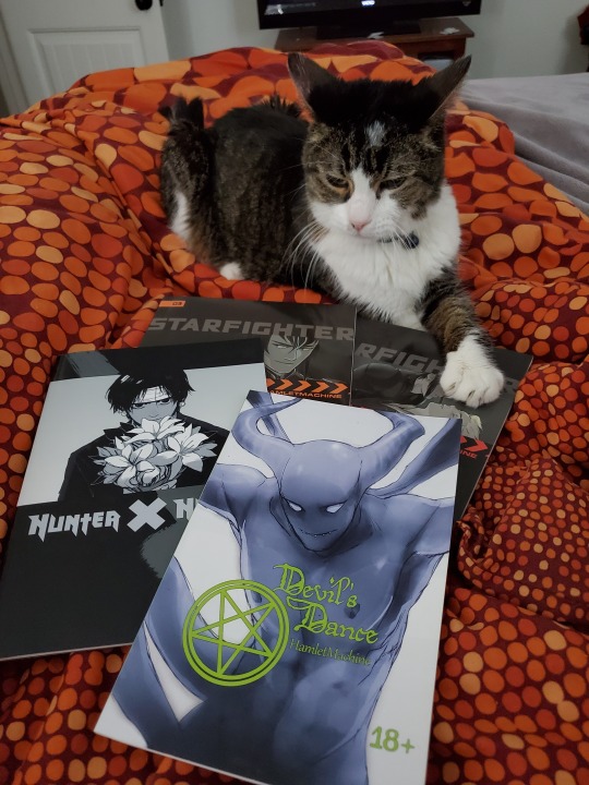 violetwylde:Got some new books for my birthday!*also pictured is the dear cat, Pyjynn, who does not judge my interestsTo @xycer (for the thoughtful purchase) and @hamletmachine (for creating such fantastic art) Thank you so much! Happy Birthday!🎉💕💕💕💕