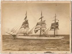 adventures-of-the-blackgang:  Square rigger