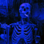 skulliejordan