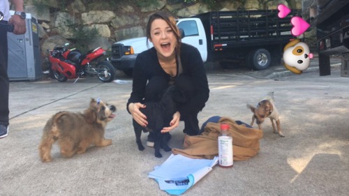 I also get this excited over puppies. Kathryn Prescott aka spirit animal.