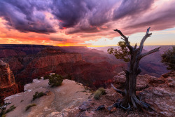 earthporn-org:  Sunset over the Grand Canyon, AZ |  by Mike Olbinski