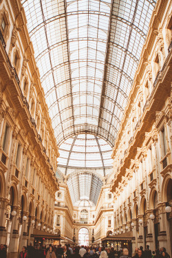 swiftbeat:Milano (by N + T)