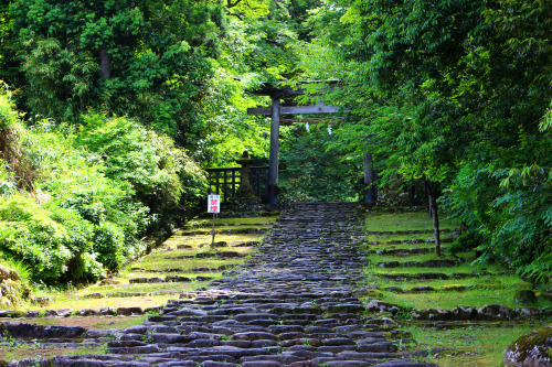 20160605（木）平泉寺