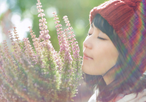 Erika Ikuta 1st Photobook - Tenchou(modulation) (two-page spread)