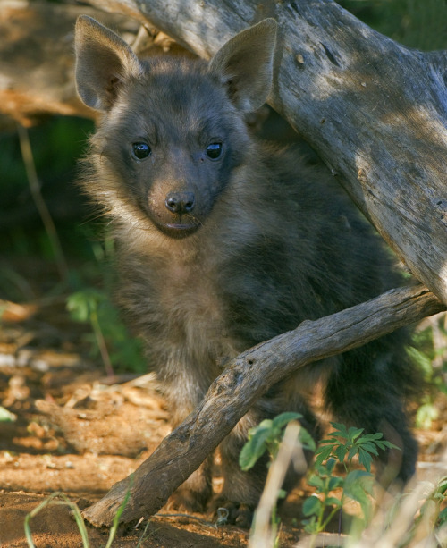 Happy New Yeens!