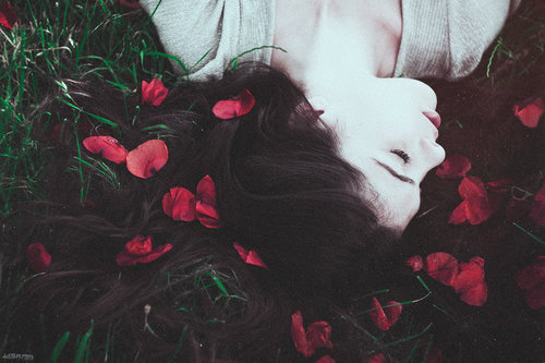 silly-luv:  ♡ find your best posts on my blog ♡ 