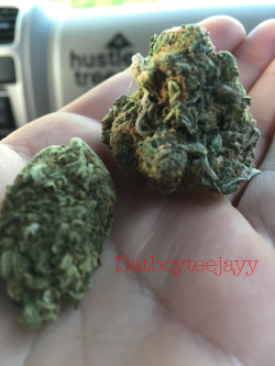 #high #weed datboyteejayy