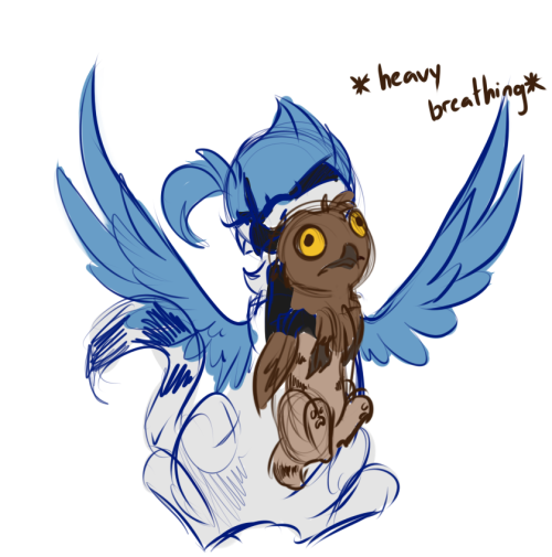 ask-azula-griffon:  darp makes some weird faces.  http://ask-azula-griffon.tumblr.com/post/60889883234/tastefullyoffensive-the-potoo-bird-always-looks  XD