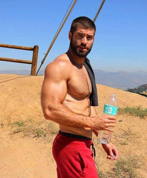 xxxnewstitch:  En el campo, al solano.