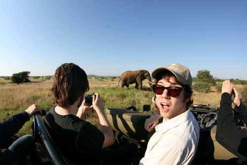 panic-at-the-blog:  Panic! At The Disco, South Africa 2009 