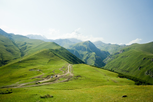 Georgia / Kazbegi / Gergeti / 2016