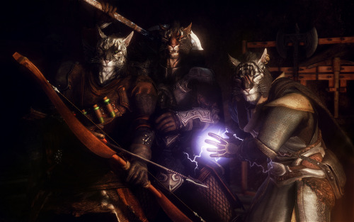 the-dubstep-snowberry: nathansummers:  dovahslair:  Khajiit by Margo L. Before I was able to mod, I used to always play as Khajiit because the vanilla humanoids were too ugly. >_>  Lately I’ve had human/elven PCs, but still hang around with a