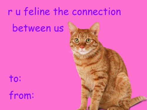 lumin4nce: someone needs to stop me valentines that will make ppl (or cats) like you (part 6/???) di