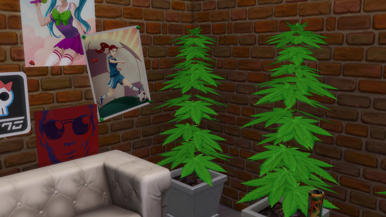 Sims 3 марихуана лучшие интернет магазины семян