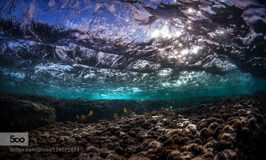 lifeunderthewaves:  Watching the Waves Go By by robertrath How often have you sat