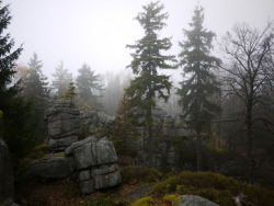 darkface:  Burgruine Schellenberg Oberpfalz