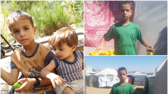 Donate to Please help me build a better future for me and my family, organized by Mostafa Ayman
