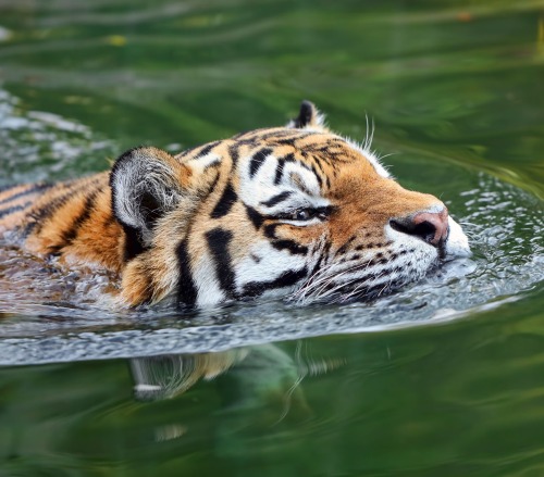 Summer FeelingbyKlaus Wiese