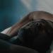 Porn photo jasminejarss:Moonlight (2016) dir. Barry