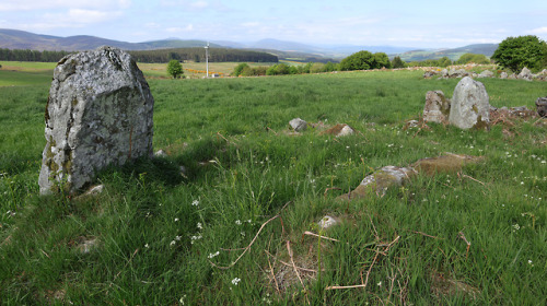 ‘Eslie The Lesser’ Stone Circle, nr Banchory, Scotland, 30.5.18.The last of three stone circles in c