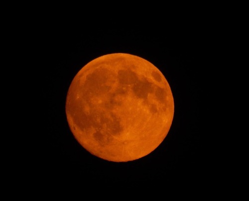 storyoftheviper:  Full Moons 2015