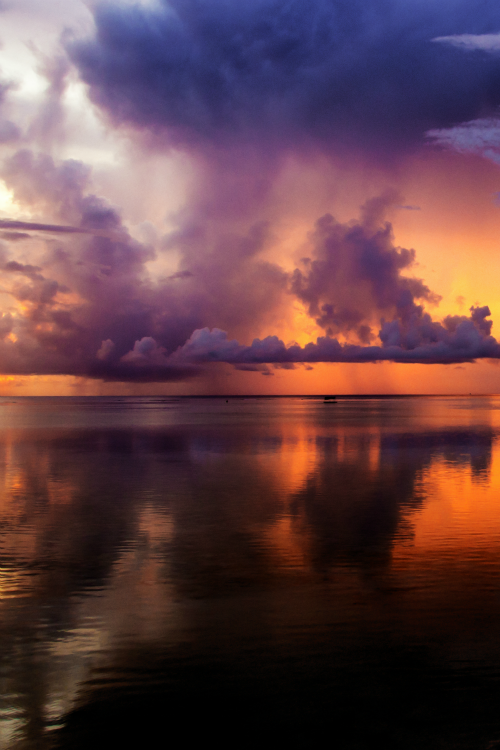 tulipnight:  Reflections by orgazmo on Flickr. 