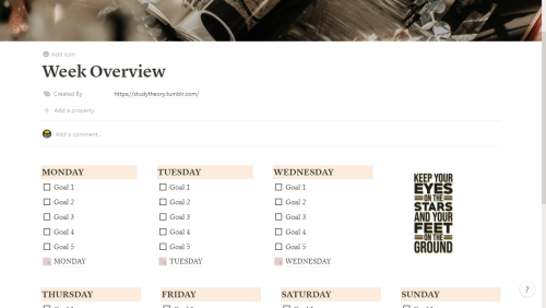 Week Overview + Daily Planner
