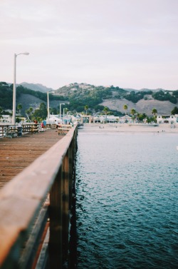 sassafranski:  favorite photo from the pier